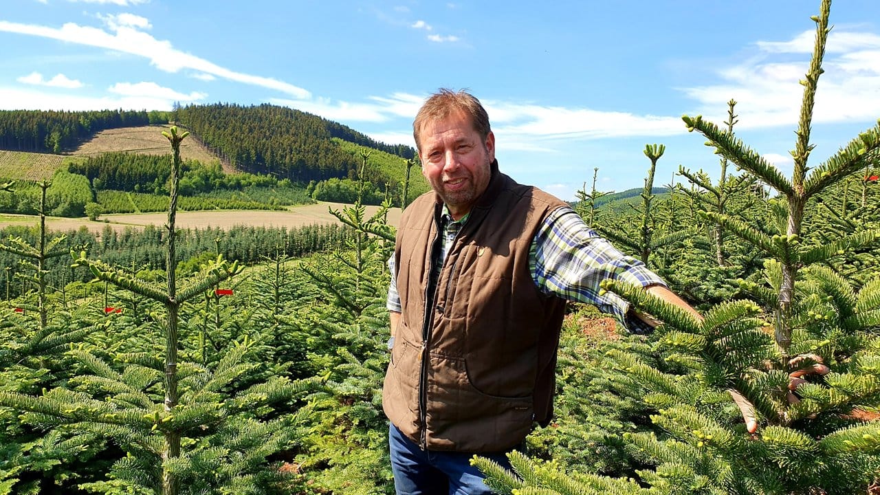 Eberhard Hennecke ist Vorsitzender der Fachgruppe Weihnachtsbaum- und Schnittgrünerzeuger im Gartenbauverband NRW.