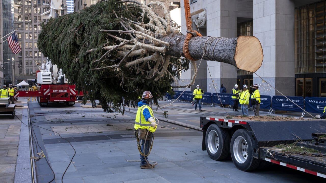 Auch in diesem Jahr schmückt wieder ein riesiger Weihnachtsbaum New York. Auch in diesem Jahr schmückt wieder ein riesiger Weihnachtsbaum New York.