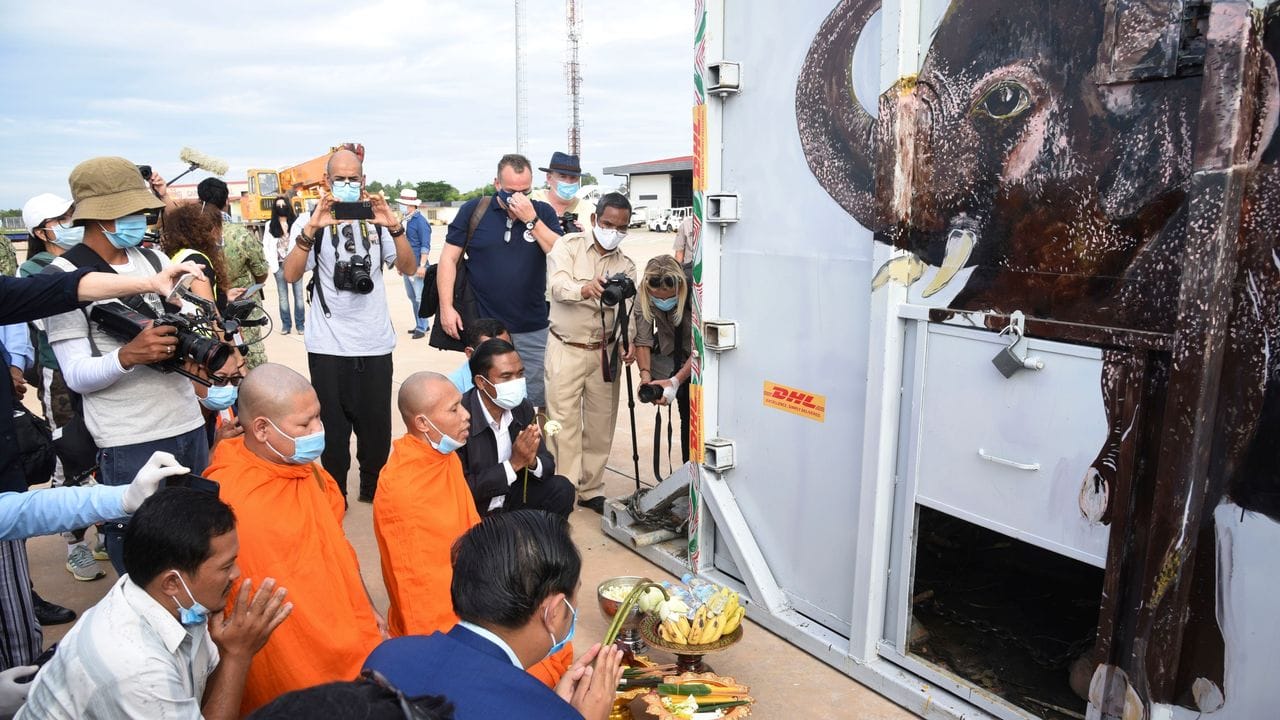 Der Container, in dem der Elefant Kaavan steht, wird bei seiner Ankunft auf dem Flughafen Siem Reap von Mönchen gesegnet.