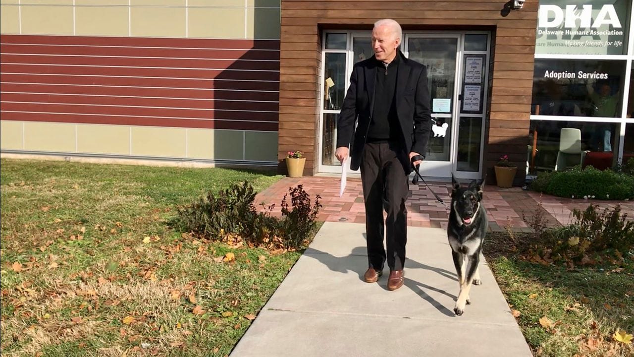Joe Biden mit seinem Deutschen Schäferhund "Major".