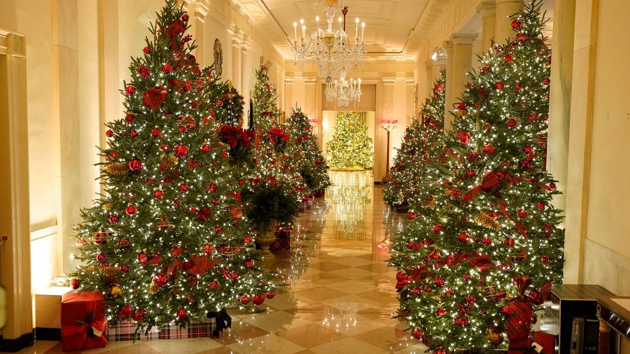 Der Flur, der zum Bankettsaal des Weißen Hauses führt, ist mit Weihnachtsbäumen dekoriert.