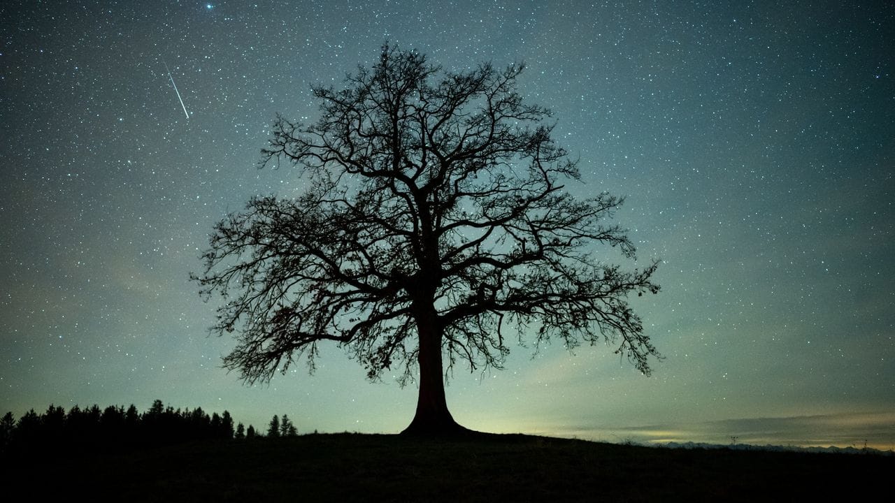 In der Erdatmosphäre verglühende Trümmerteile eines zerbrochenen Asteroiden sind wohl der Grund für das Spektakel am Nachthimmel. In der Erdatmosphäre verglühende Trümmerteile eines zerbrochenen Asteroiden sind wohl der Grund für das Spektakel am Nachthimmel.
