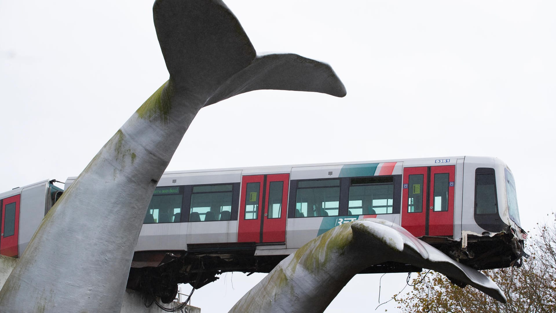 Am 2. November entgleiste eine U-Bahn nahe der niederländischen Stadt Rotterdam. Doch der Fahrer hatte Glück im Unglück: Ein Kunstwerk in Form zweier Walflossen fingen den Zug auf und verhinderten seinen zehn Meter tiefen Absturz in einen Kanal. Nach Ansicht des Künstlers Maarten Struijs war der auf den Flossen balancierende Zug selbst ein Kunstwerk.