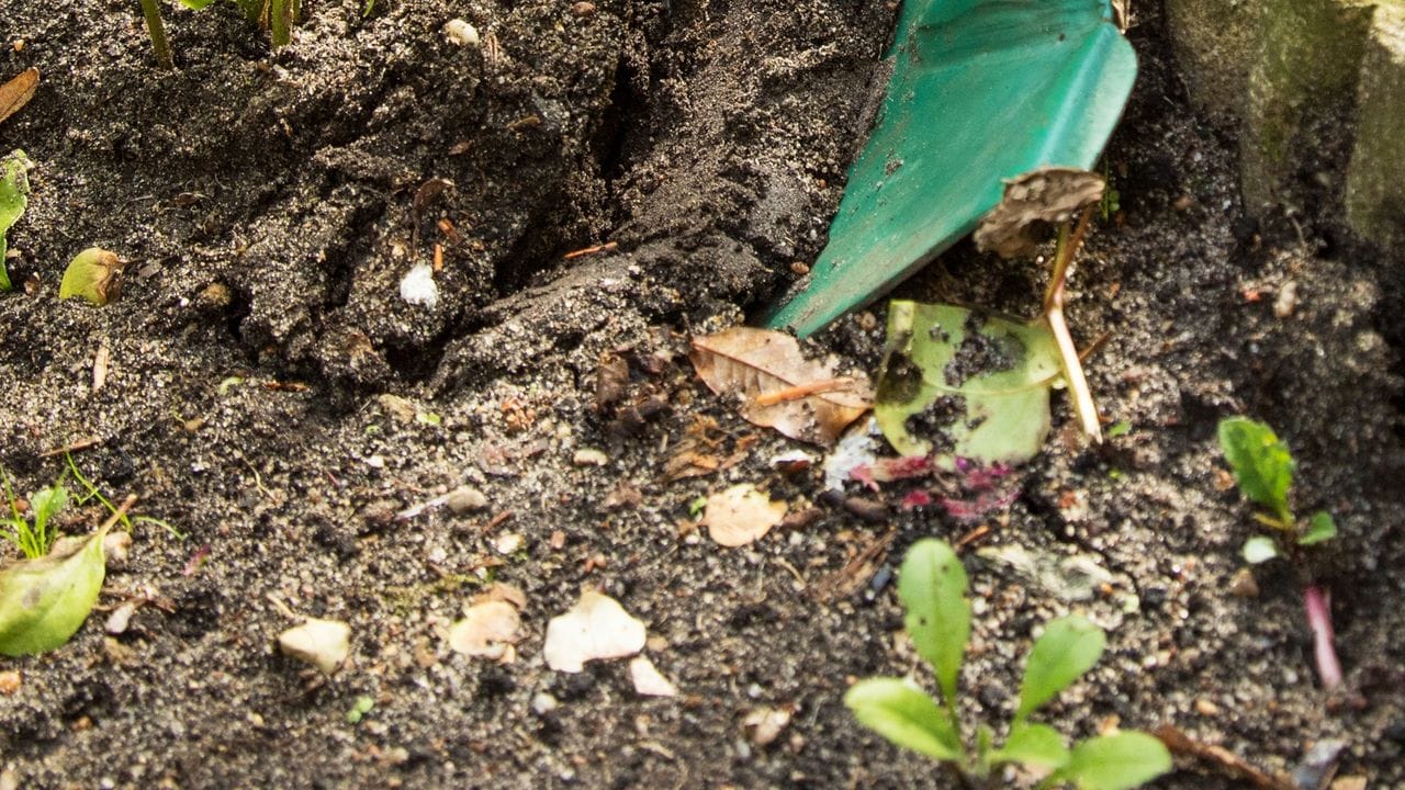 Die moderne Erforschung des Bodens zeigt, dass man im Rahmen der Bodenpflege dafür sorgen muss, Lebewesen auch in ihrer Schichtung zu schützen.