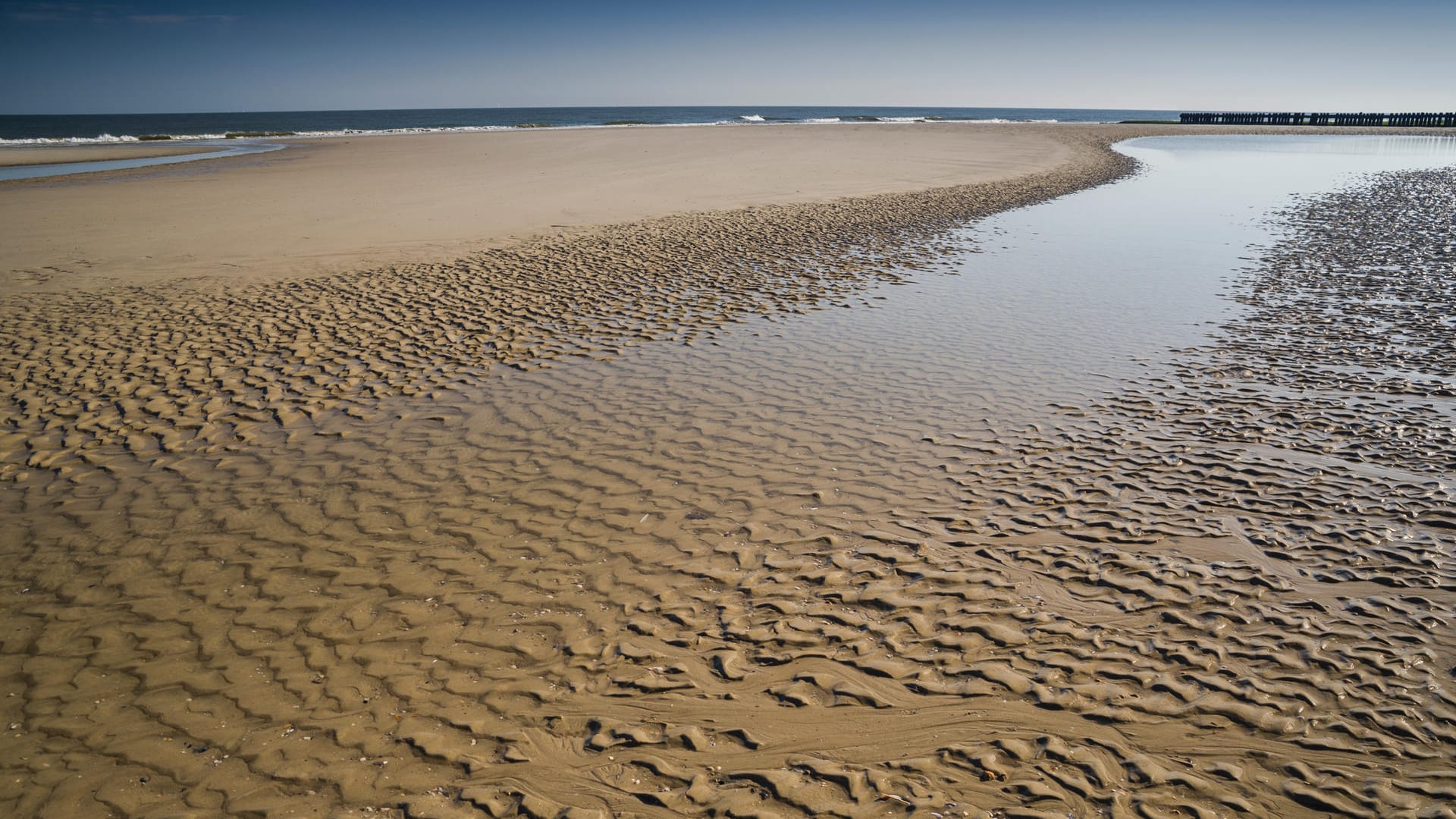 Das Wattenmeer an der Nordseeküste Schleswig-Holsteins und Niedersachsens bietet viele Attraktionen. Bei Wanderungen können Naturliebhaber den "small five" des Wattenmeers – Wattwurm, Herzmuschel, Strandkrabbe, Wattenschnecke und Nordseegarnele – nachspüren.