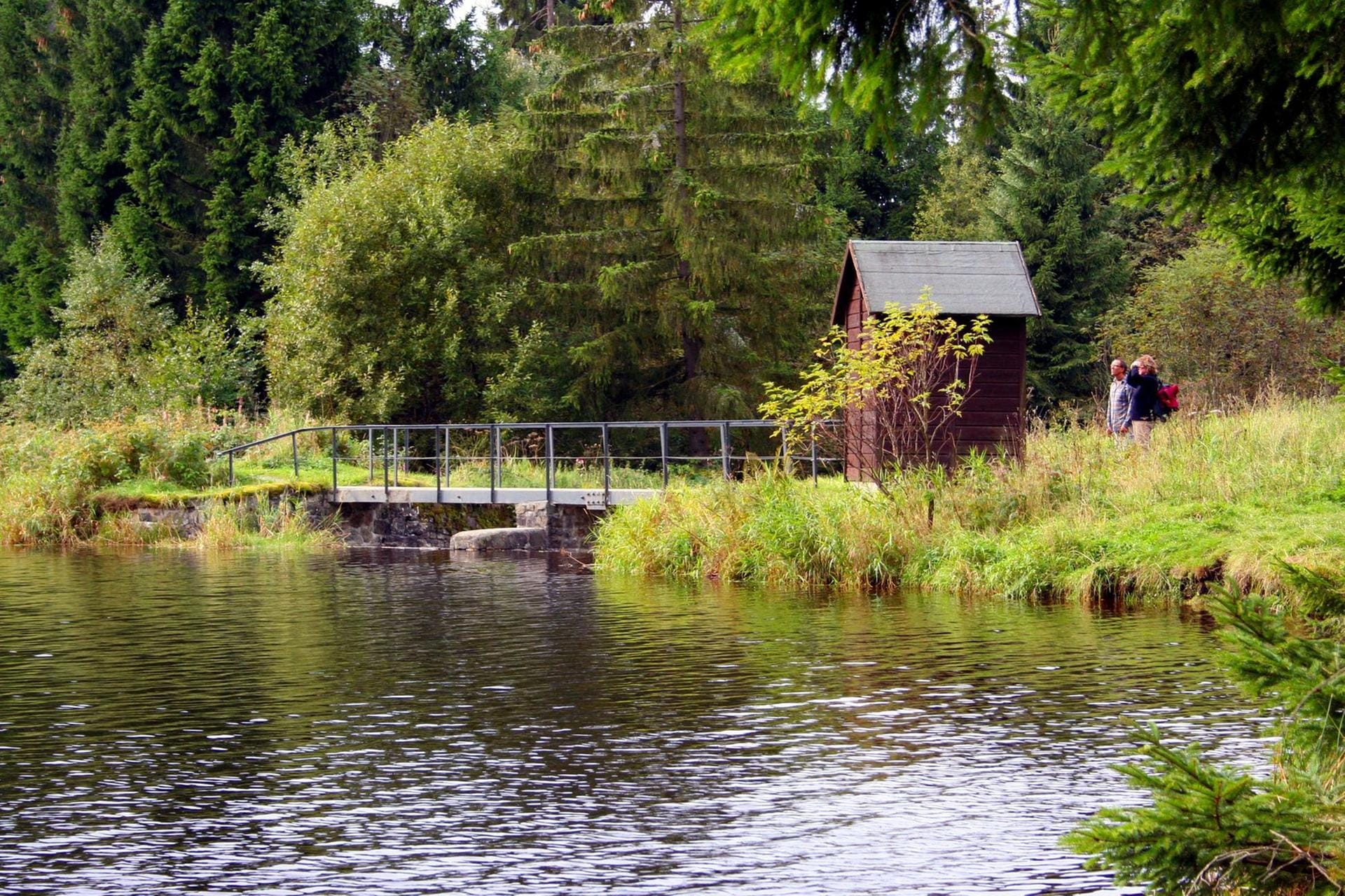Im August 2010 wurde die "Oberharzer Wasserwirtschaft" in die Liste der Unesco-Welterbestätten aufgenommen. Die außergewöhnliche Anlage besteht aus historischen Teichen, Gräben und weiteren Wasserläufen.