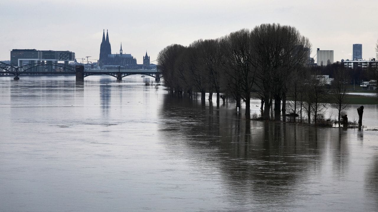 Der Rhein hat Teile des Ufers überflutet, im Hintergrund ist der Kölner Dom zu sehen.