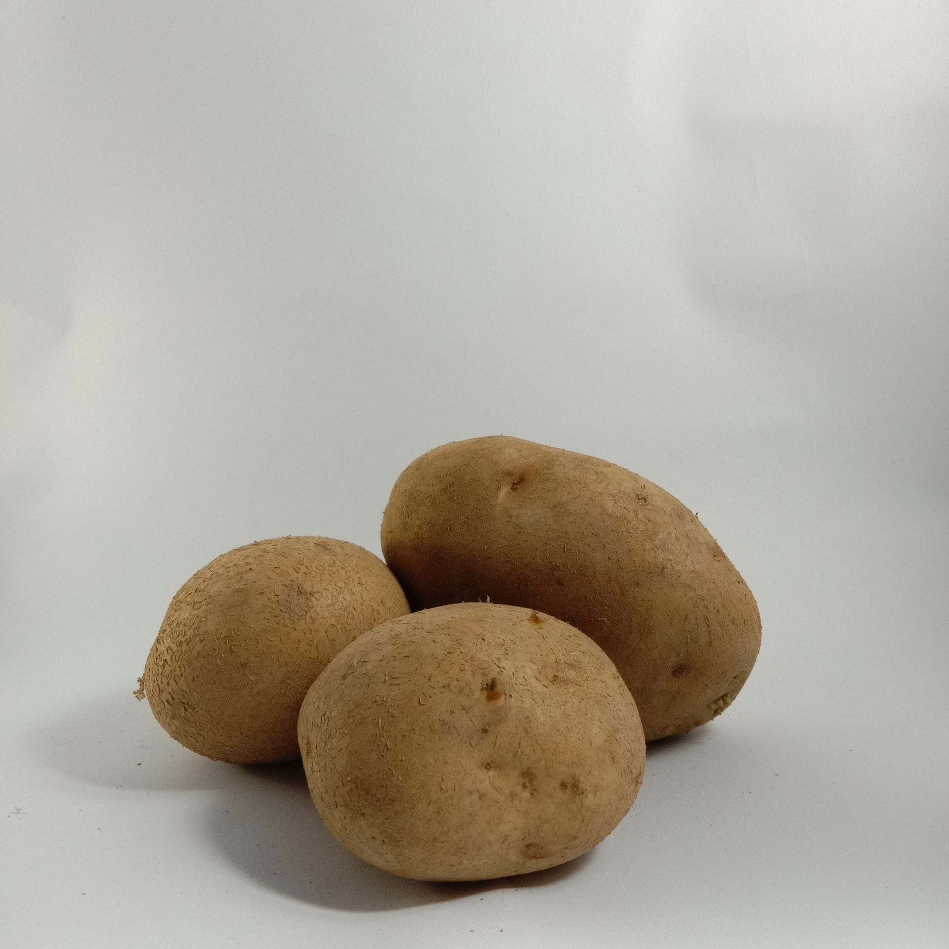 Kartoffel des Jahres 2014: "Granola"