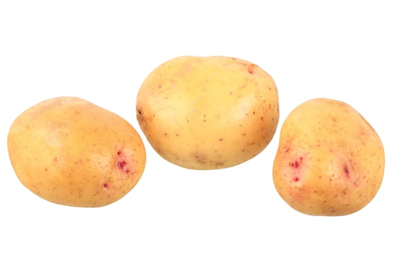 Kartoffel des Jahres 2019: "Quarta"