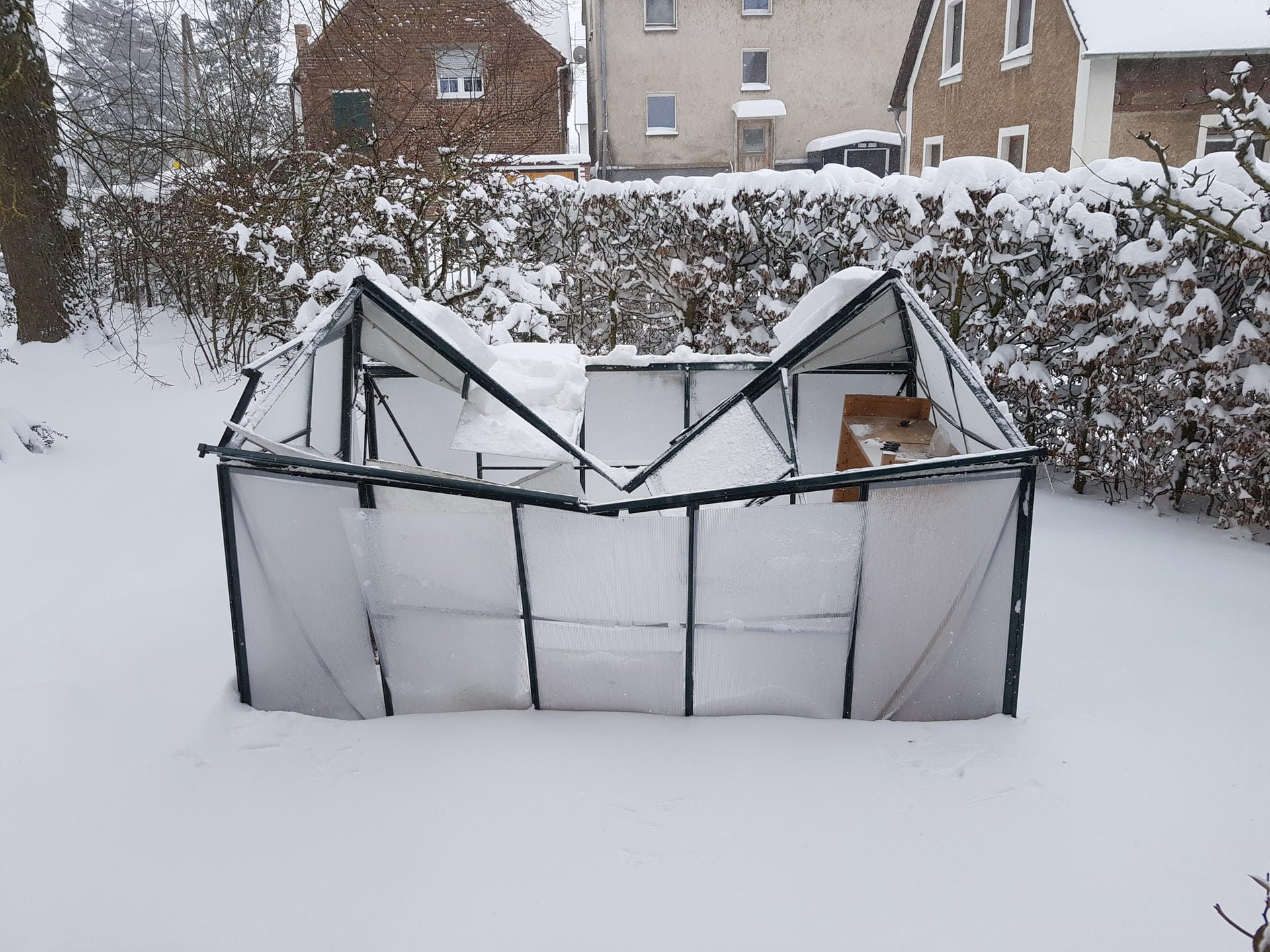 Detlev Kleemann aus Marsberg in Nordrhein-Westfalen hat durch den Wintereinbruch leider einen Verlust zu beklagen. Sein schönes Gewächshaus ist unter der schweren Last des Schnees zusammengebrochen.