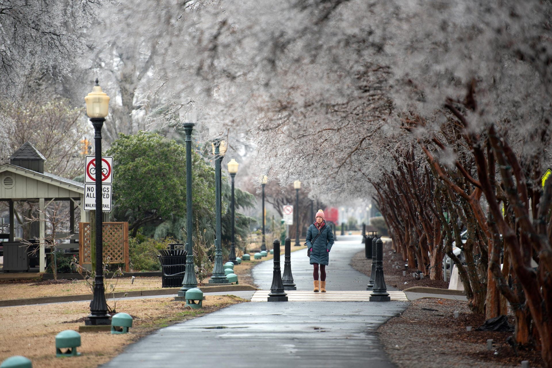 Eine Fußgängerin läuft unter gefrorenen Bäumen in Cleveland, Mississippi: Die Wetterlage soll sich auch am Mittwoch nicht entspannen.