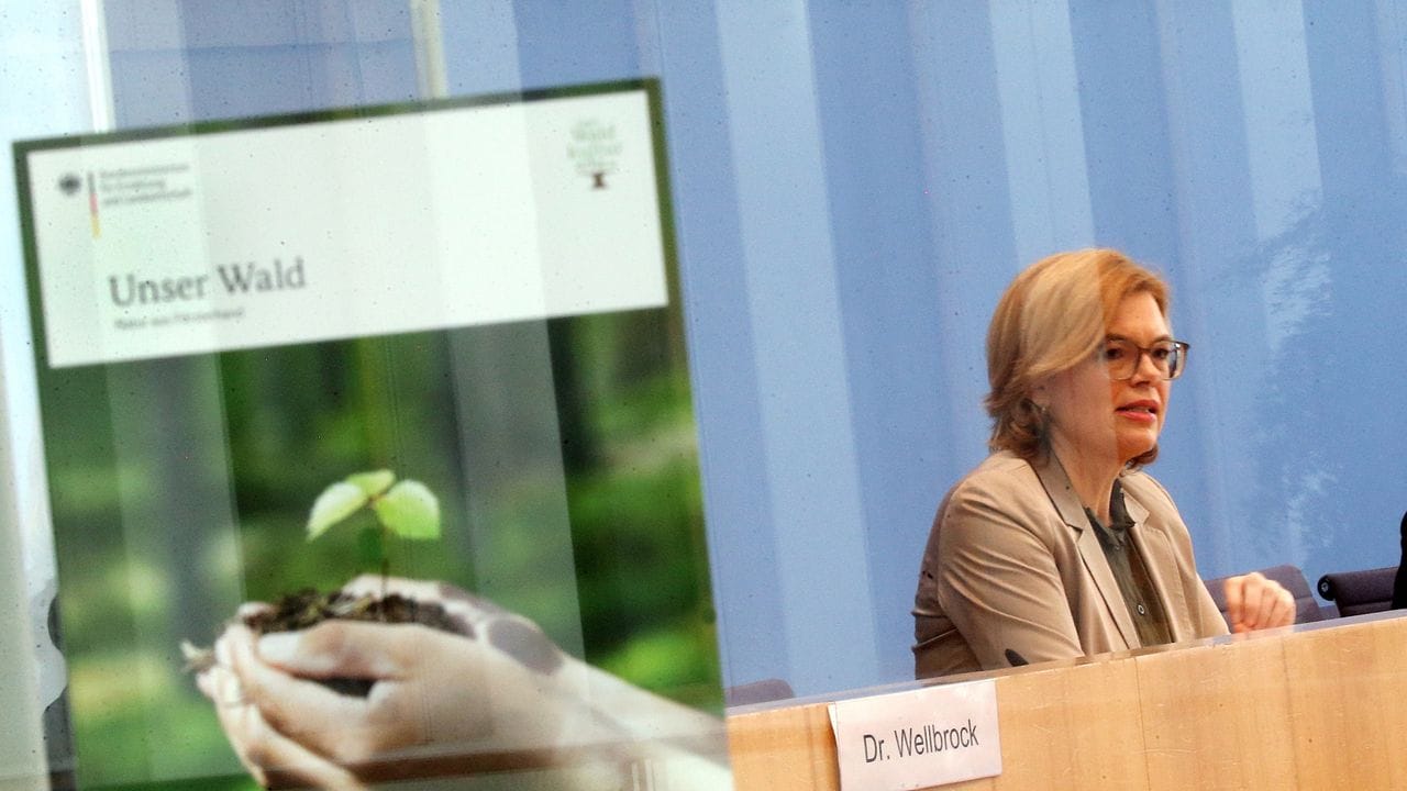 Julia Klöckner (CSU), Bundeslandwirtschaftsministerin, stellt vor der Bundespressekonferenz den Waldzustandsberichts 2020 vor.