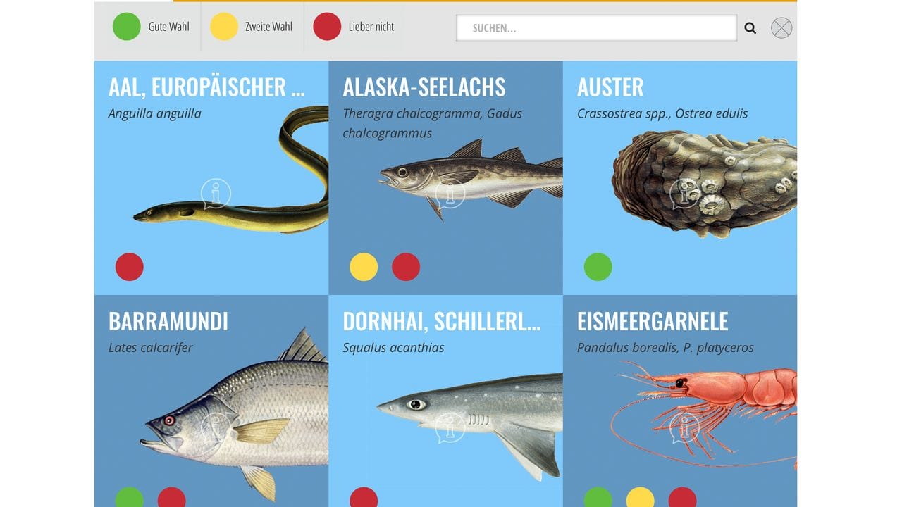 Den WWF-Fischratgeber gibt es unter anderem als App und in einer Kurzfassung im Scheckkartenformat für die Einkaufstasche.