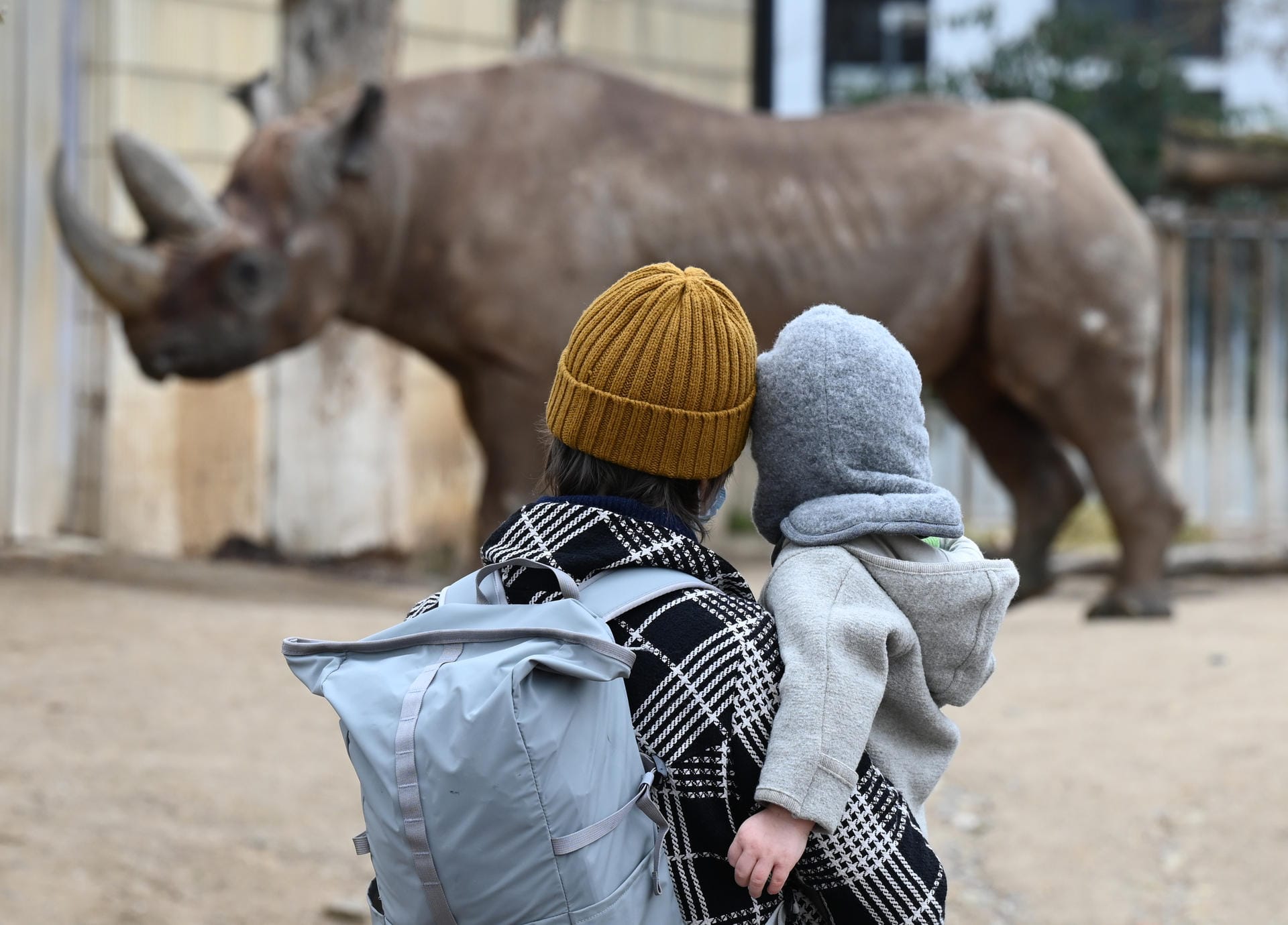 Eine Besucherin beobachtet im Frankfurter Zoo zusammen mit ihrem Kind das Nashorn in seinem Außengehege: Die Nachmittage sind schon jetzt völlig ausgebucht. Eine Besucherin beobachtet im Frankfurter Zoo zusammen mit ihrem Kind das Nashorn in seinem Außengehege: Die Nachmittage sind schon jetzt völlig ausgebucht.
