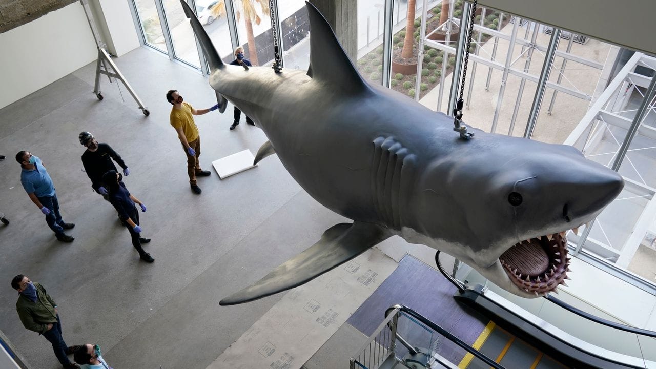 Eine Kunststoff-Nachbildung von "Bruce", dem Hai aus Steven Spielbergs Filmklassiker "Der weiße Hai" von 1975.