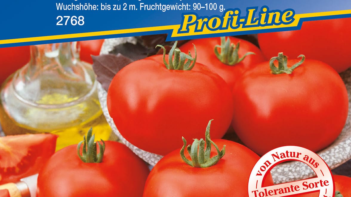 Kiepenkerl Tomate "Phantasia"