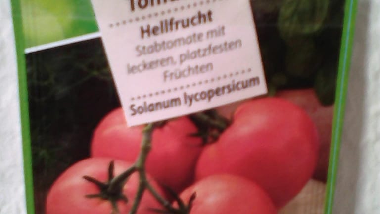 Tomaten Hellfrucht (Lidl)