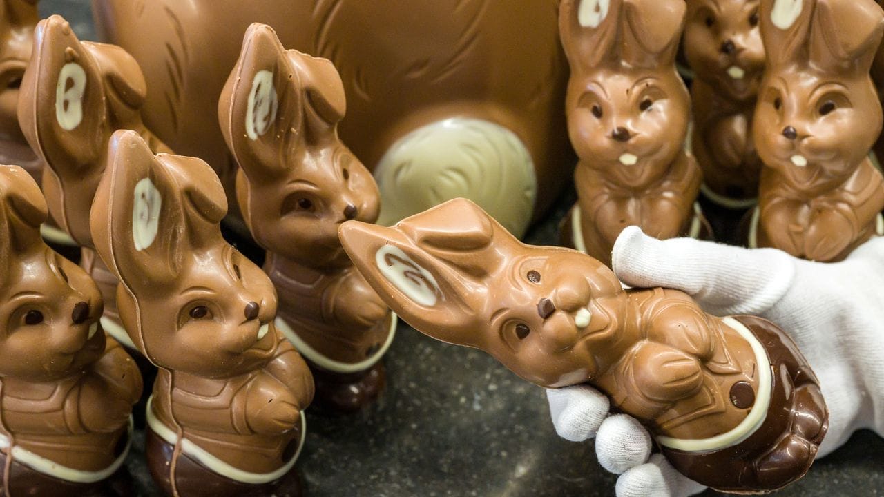 Osterhasen aus Schokolade stehen in jedem Jahr hoch im Kurs. Osterhasen aus Schokolade stehen in jedem Jahr hoch im Kurs.