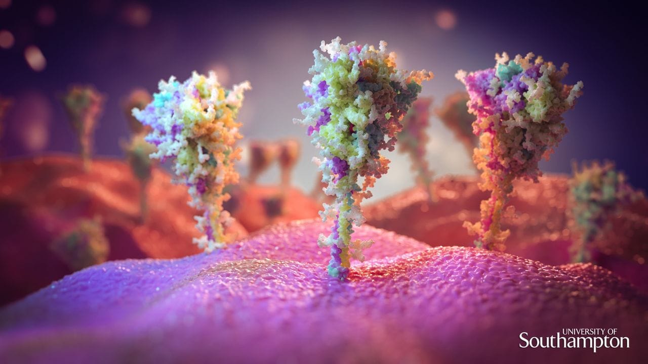 Forscher der Universität Southampton haben mit mikroskopischen Fotos sichtbar gemacht, wie der Astrazeneca-Impfstoff in menschlichen Zellen wirkt.