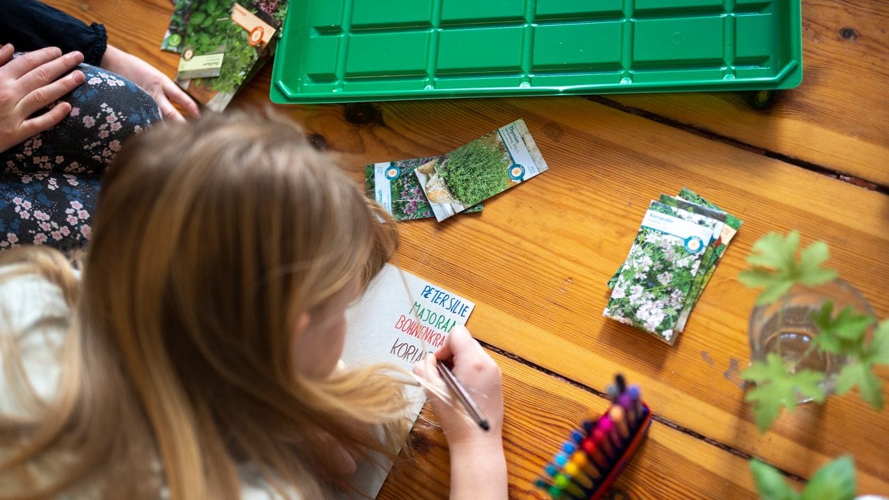 Bei dem Projekt können Kinder viel über das Wachstum von Pflanzen lernen.