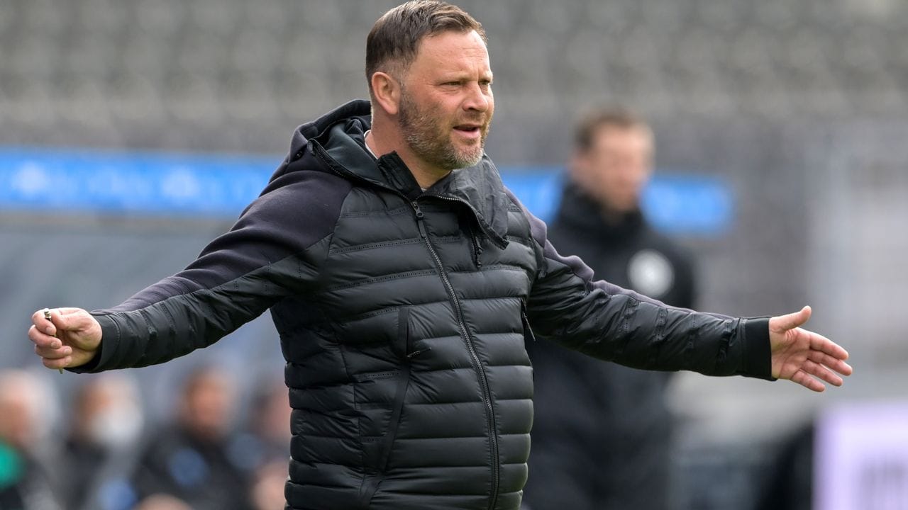 Pal Dardai wurde positiv auf das Coronavirus getestet. Pal Dardai wurde positiv auf das Coronavirus getestet.
