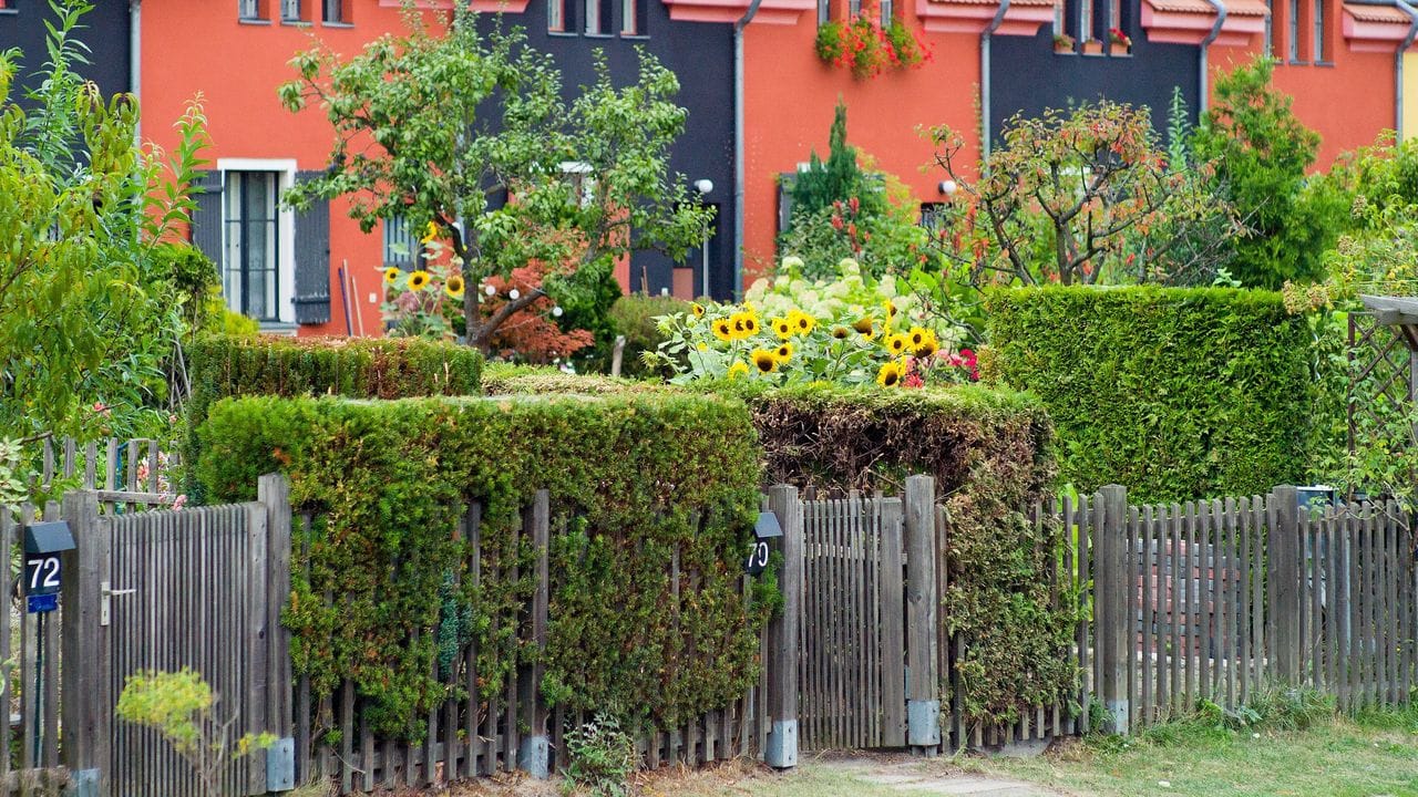 Freundlicher Eindruck dank Sonnenblumen: Auch bei Reihenhäusern können Bewohner ihren Vorgarten individuell gestalten.