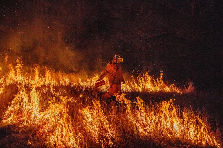 Trockene Wälder erhöhen schließlich auch die Gefahr von Waldbränden. Neben Brandstiftung und fahrlässigen Walbesuchern können Waldbrände auch durch Blitzeinschläge entstehen und großflächige Schäden in der Natur verursachen.