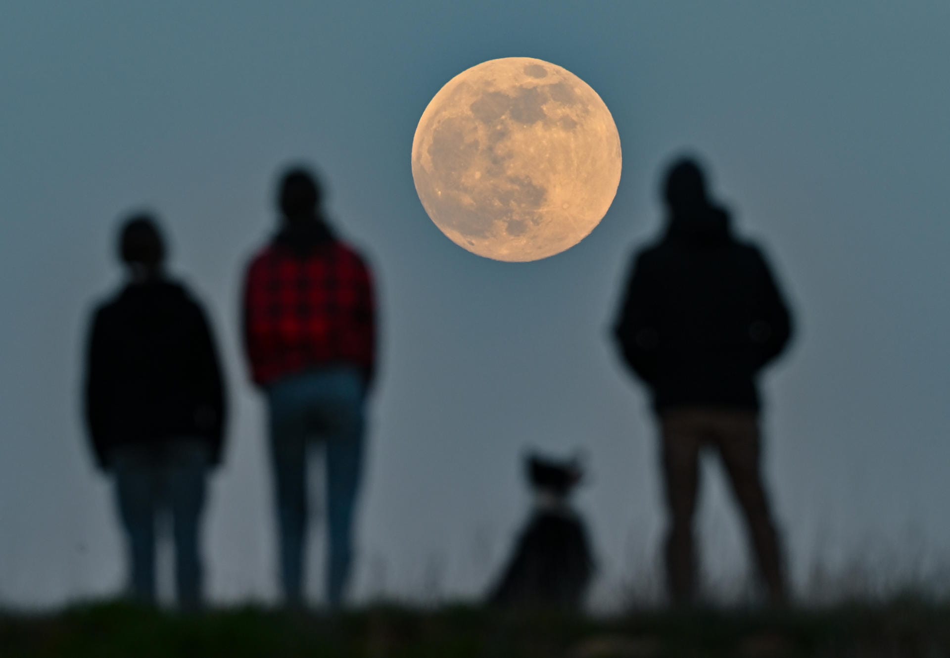 Brandenburg, Sieversdorf: Menschen stehen auf einem Hügel und beobachten den aufgehenden Mond.