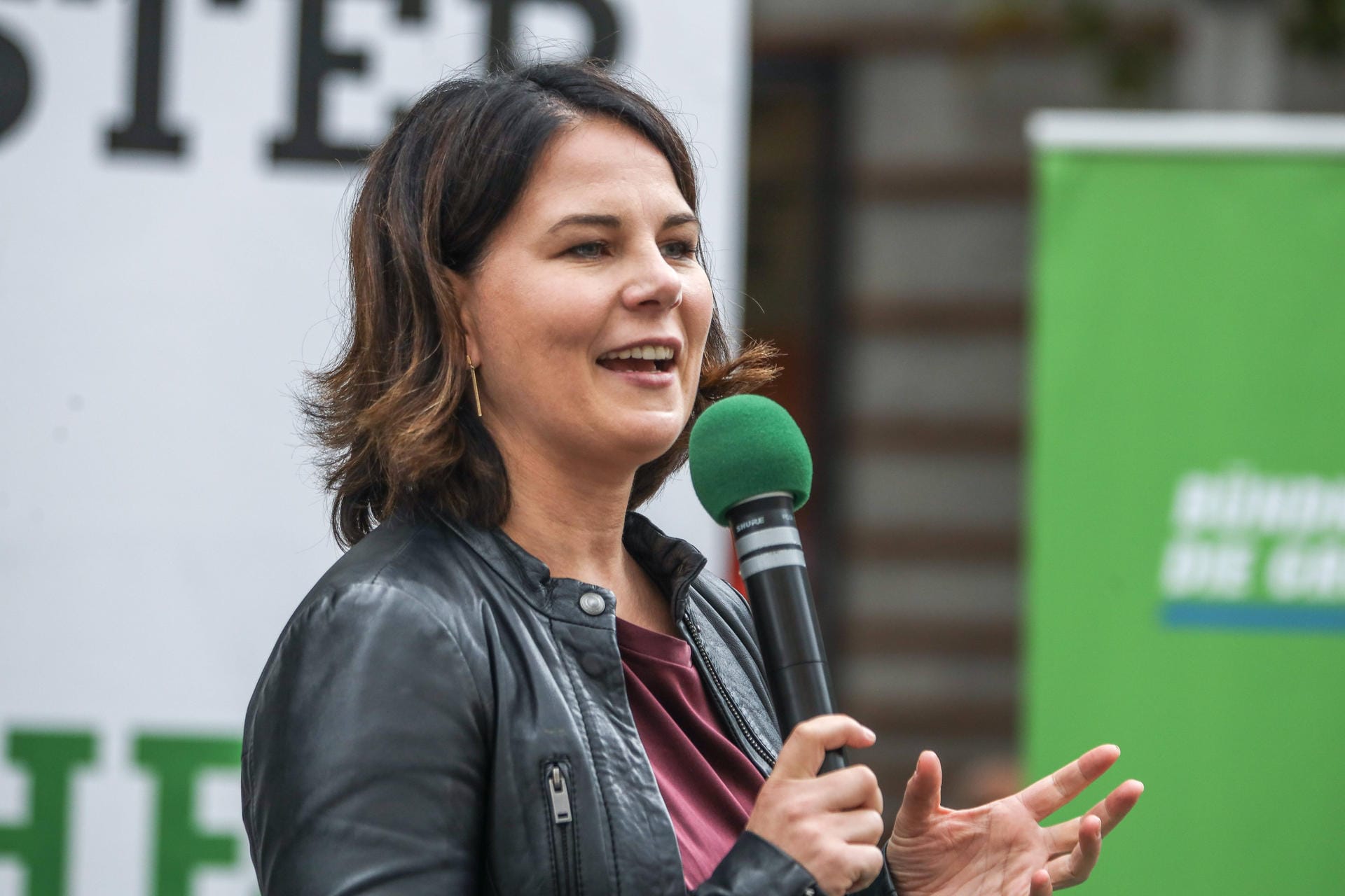 Parallel zu ihrer Doktorarbeit von 2009 bis 2013 an der Freien Universität Berlin war Baerbock bereits Landesvorsitzende der Grünen in Brandenburg. 2013 wurde sie dann auch Mitglied der Bundestagsfraktion der Grünen.