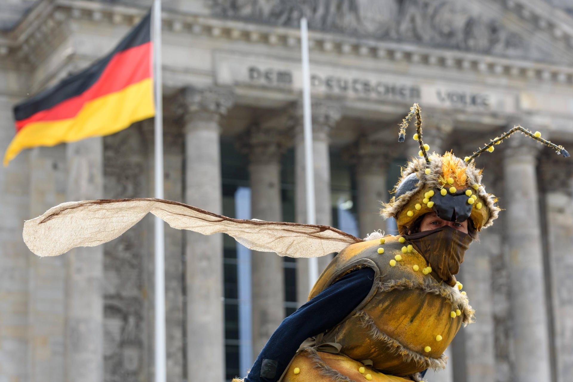 Kein anderes Insekt ist der Politik so wichtig wie die Biene. Markus Söder, Svenja Schulze und viele andere bewegt das, was auch für Kanzlerin Angela Merkel "ein großes Thema ist": der Schutz der Bienen und ihrer Lebensräume. Von Patenschaften bis "Bienen-Highways" – das tun deutsche Politiker für die bedrohten Tiere.