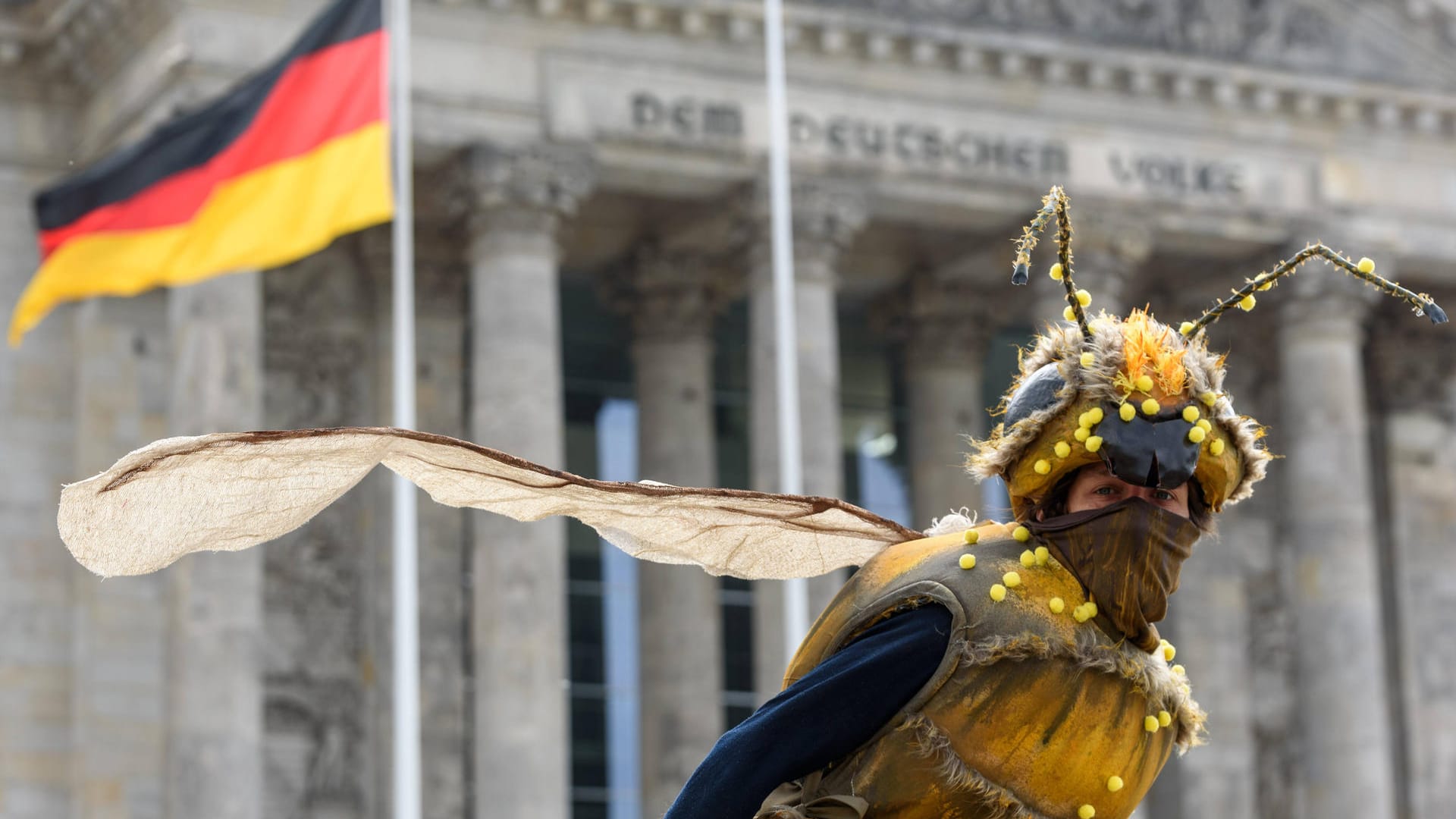 Kein anderes Insekt ist der Politik so wichtig wie die Biene. Markus Söder, Svenja Schulze und viele andere bewegt das, was auch für Kanzlerin Angela Merkel "ein großes Thema ist": der Schutz der Bienen und ihrer Lebensräume. Von Patenschaften bis "Bienen-Highways" – das tun deutsche Politiker für die bedrohten Tiere.