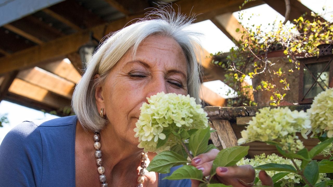 Ein Erlebnis für die Sinne, wenn Blüten nicht nur schön aussehen, sondern auch herrlich duften. Ein Erlebnis für die Sinne, wenn Blüten nicht nur schön aussehen, sondern auch herrlich duften.