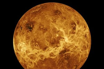 Das von der NASA zur Verfügung gestellte Foto zeigt den Planeten Venus, erstellt mit Daten der Raumsonde Magellan und des Pioneer Venus Orbiter.