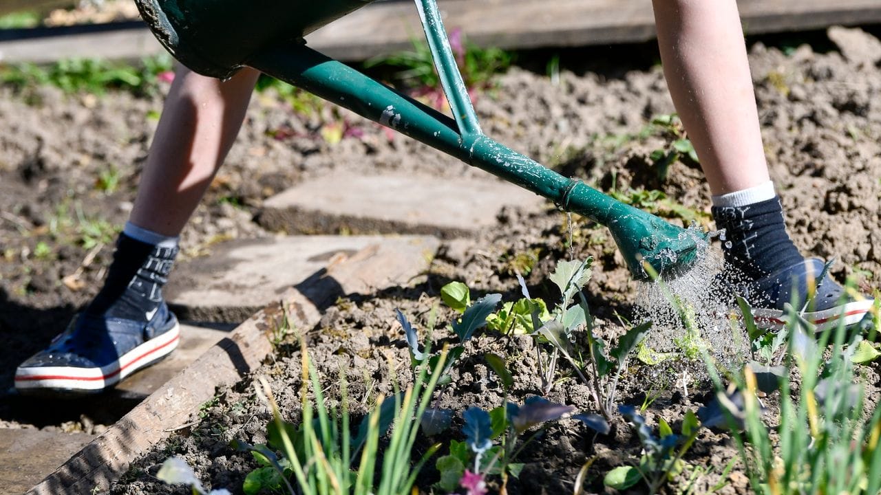 Kinder können viele Aufgaben im Garten übernehmen - und sich beispielsweise um ein eigenes Beet kümmern.