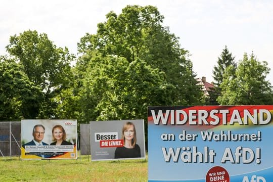 Wahlplakate von CDU, der Linken und AfD werben um Stimmen.