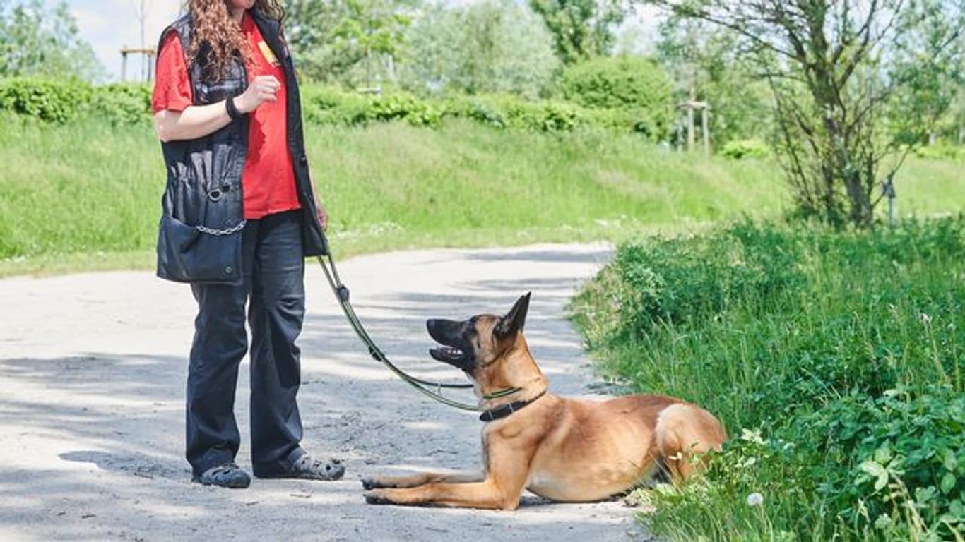 Xenia Katzurke, Tierärztin für Verhaltenstherapie, trainiert mit Schäferhund Leon im Tierheim Berlin.