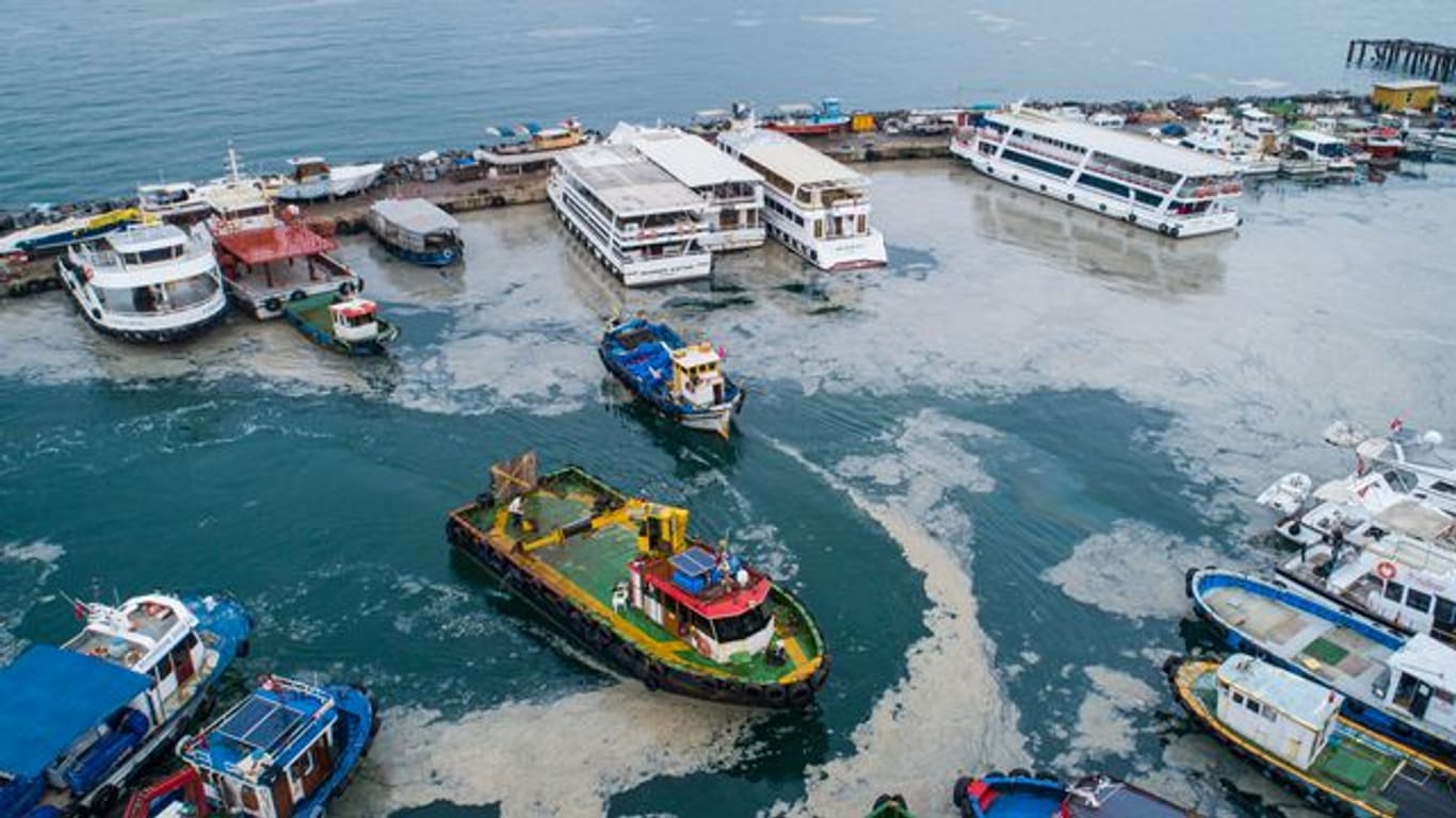 Eine dicke Schicht von Meeresschleim bedeckt das Marmarameer am Fischerhafen von Kartal, auf der asiatischen Seite Istanbuls.