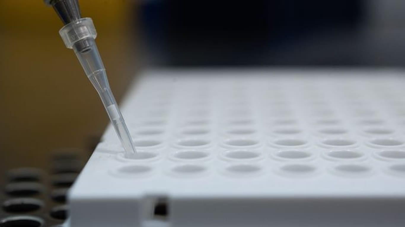 Ein PCR-Test wird für die Untersuchung auf die Corona-Variante vorbereitet.