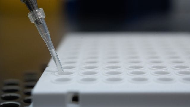 Ein PCR-Test wird für die Untersuchung auf die Corona-Variante vorbereitet.