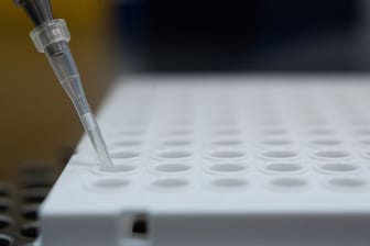 Ein PCR-Test wird für die Untersuchung auf die Corona-Variante vorbereitet.