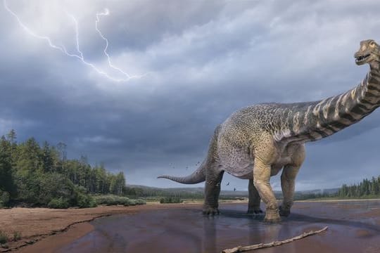 Eine künstlerische Darstellung zeigt den Dinosaurier Australotitan cooperensis, oder den Südtitan.