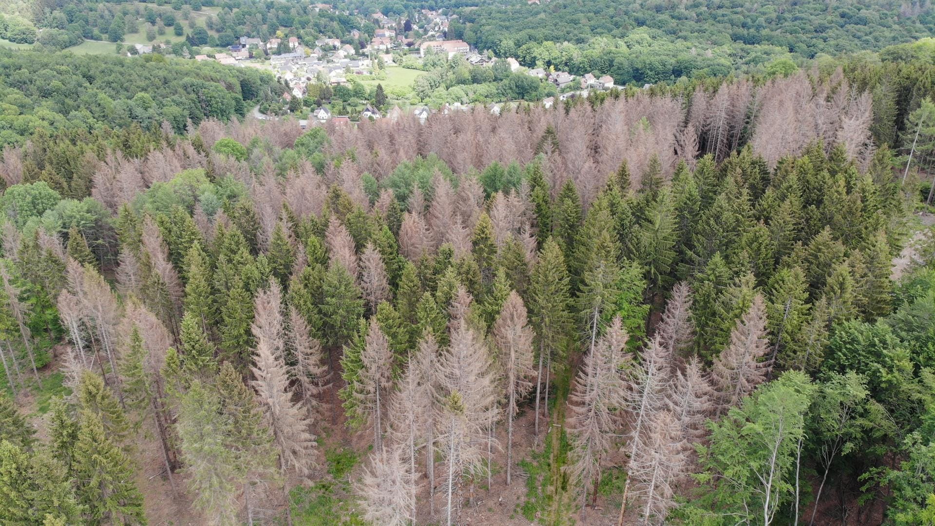 Horn-Bad Meinberg