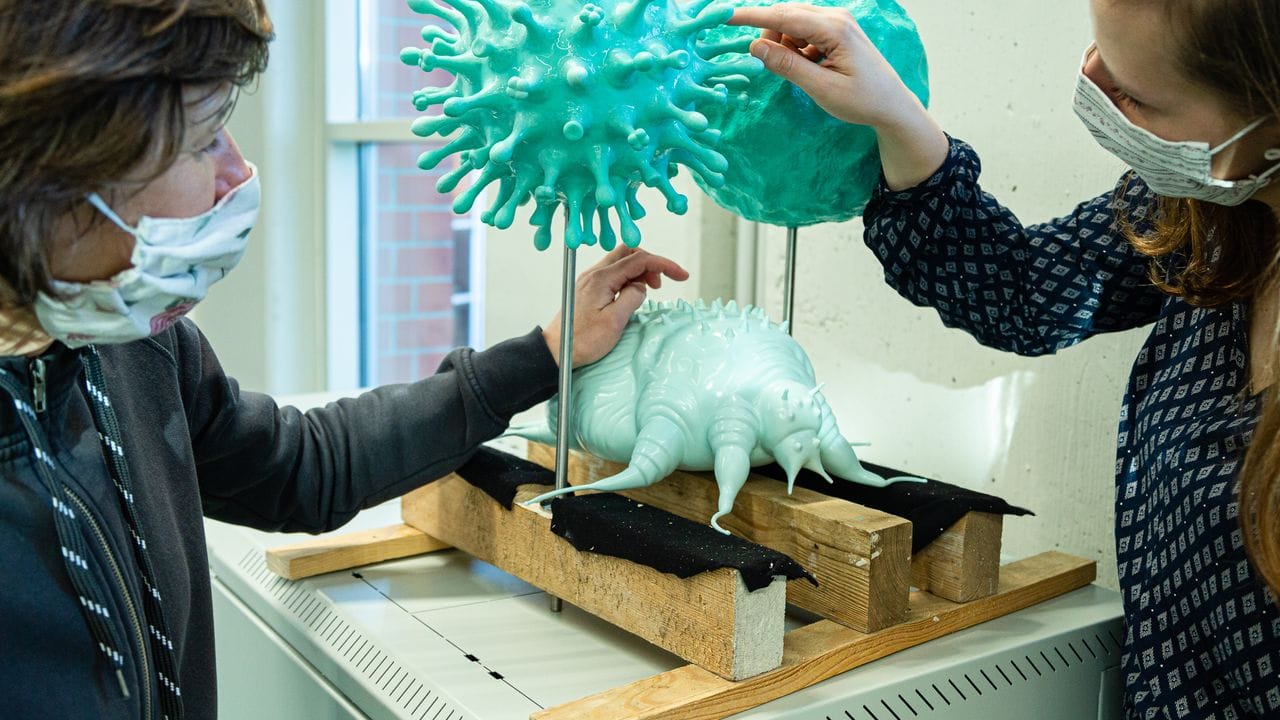 Große Modelle veranschaulichen Krankheitserreger, wie Bakterien und Viren, im neuen Ausstellungsbereich "Heilen und Pflegen" der DASA Arbeitswelt Ausstellung.