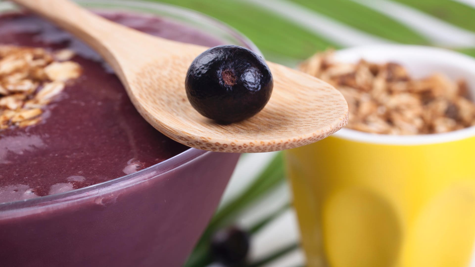 Açaí: Die Früchte der Kohlpalme sind in Mittel- und Südamerika beheimatet. Sie sind zuckerarm und protein- sowie ballaststoffreich. Hierzulande ist Açaí vor allem als Fruchtpüree für Smoothies und Bowls bekannt.