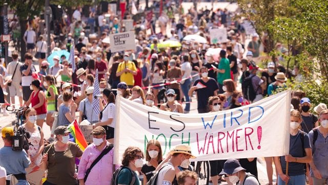Fridays-for-Future-Demo in Hamburg.