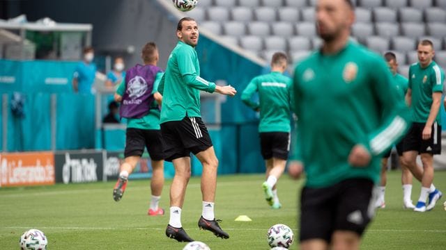Ádám Szalai (l) verlängerte seinen Vertrag in Mainz.