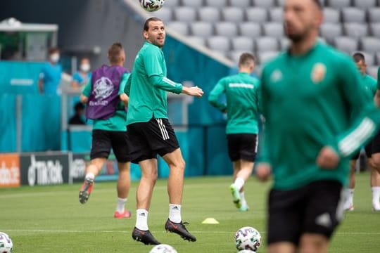Ádám Szalai (l) verlängerte seinen Vertrag in Mainz.