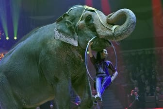 Jana Mandana Lacey-Krone mit Elefantendame Bara während eines Auftritts im Circus Krone.