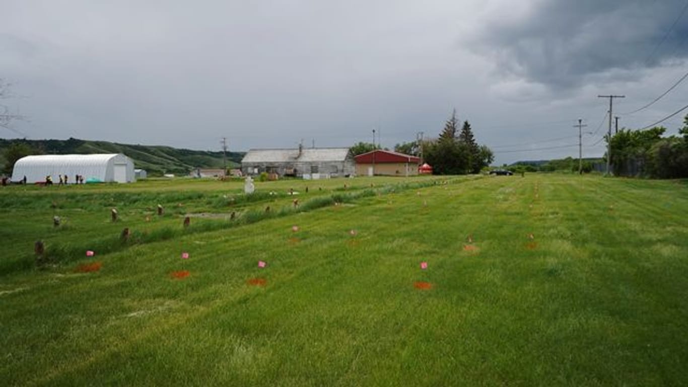 Fahnen stehen dort, wo ein Bodenradar vermutliche Gräber in der Nähe einer ehemaligen Indian Residential School im kanadischen Marieval aufgezeichnet hat.