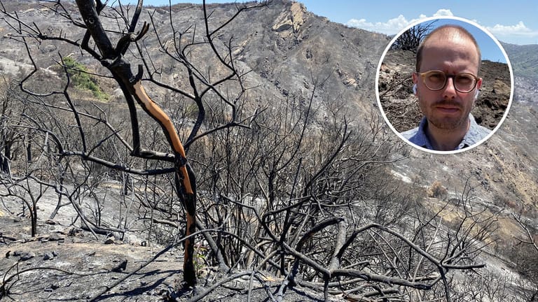 „Der Sommer wird brandgefährlich”: t-online-Korrespondent Fabian Reinbold erklärt, warum Hitze, Dürre und Waldbrände den Westen der USA in diesem Jahr besonders hart treffen.